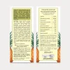 Fluido Concentrato Ananas Cell