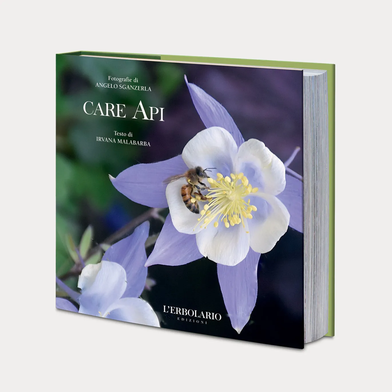 Libro Care Api