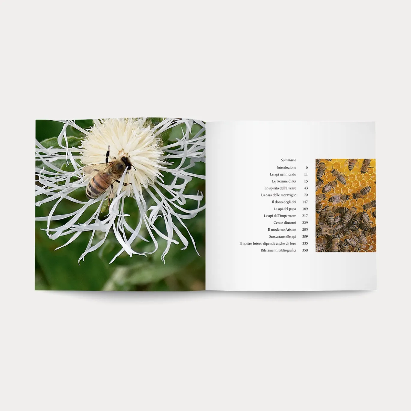 Libro Care Api