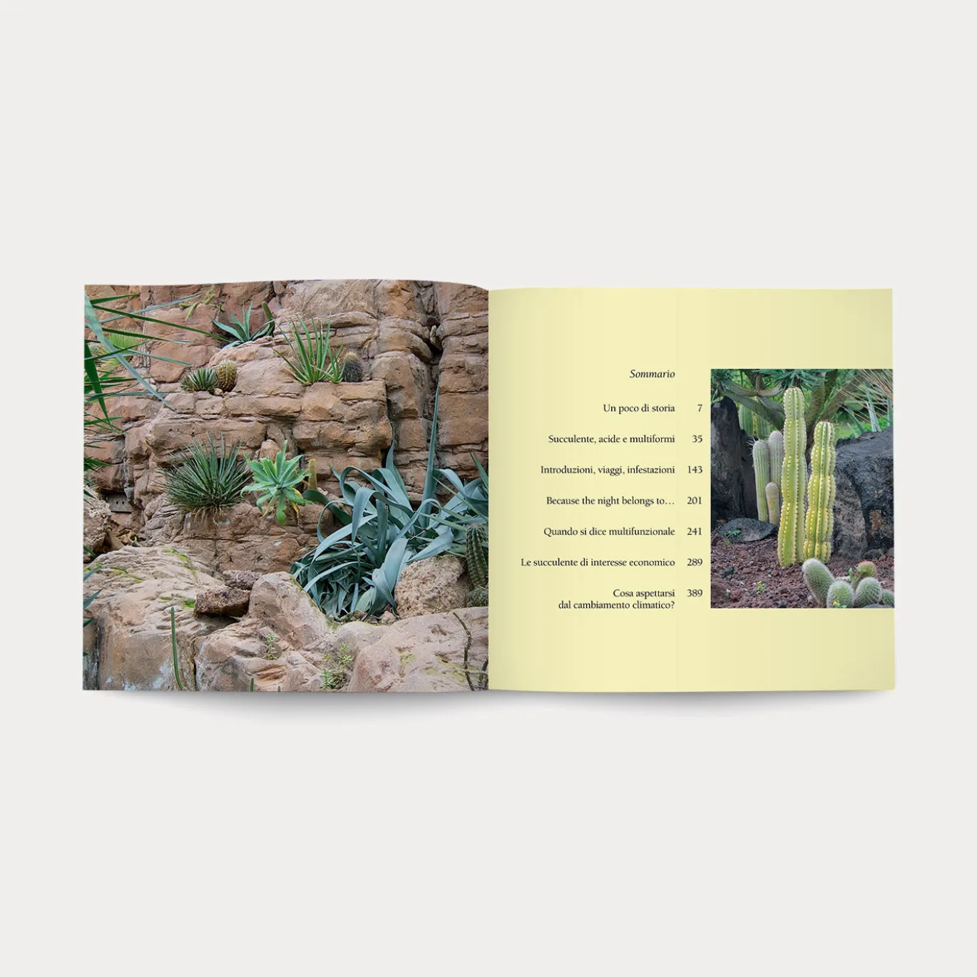 Libro Di Fiori e di Spine