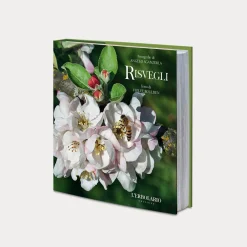 Libro Risvegli
