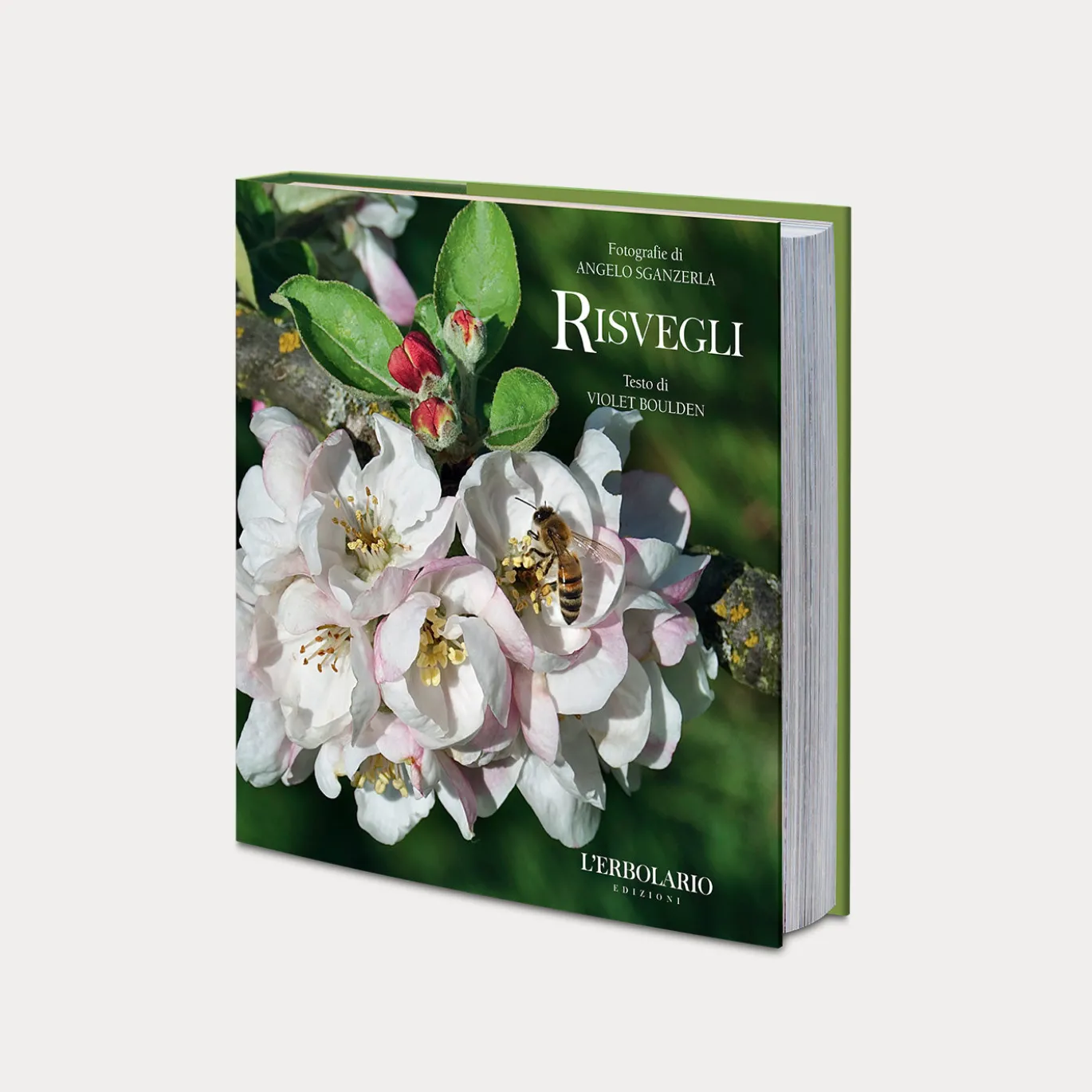 Libro Risvegli